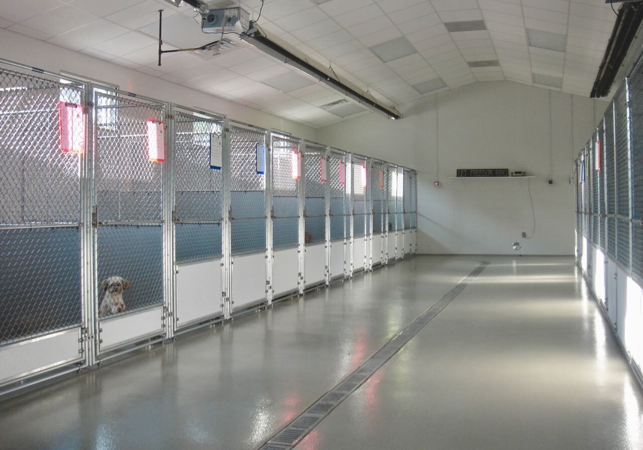 kennel-property - 9